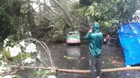 Sejumlah pohon tumbang akibat angin kencang. (Twitter Dishub Kota Bogor)