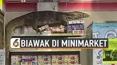 BIAWAK BESAR