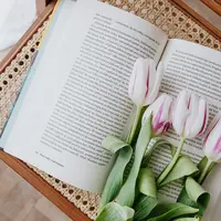 ilustrasi novel/Karolina Grabowska/pexels