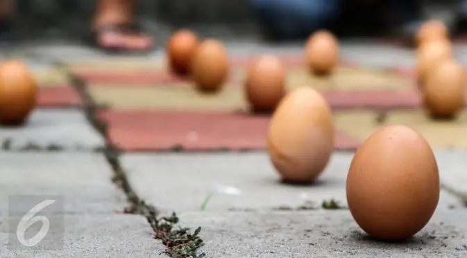 Ilustrasi telur ayam  (Liputan6.com/Fery Pradolo)