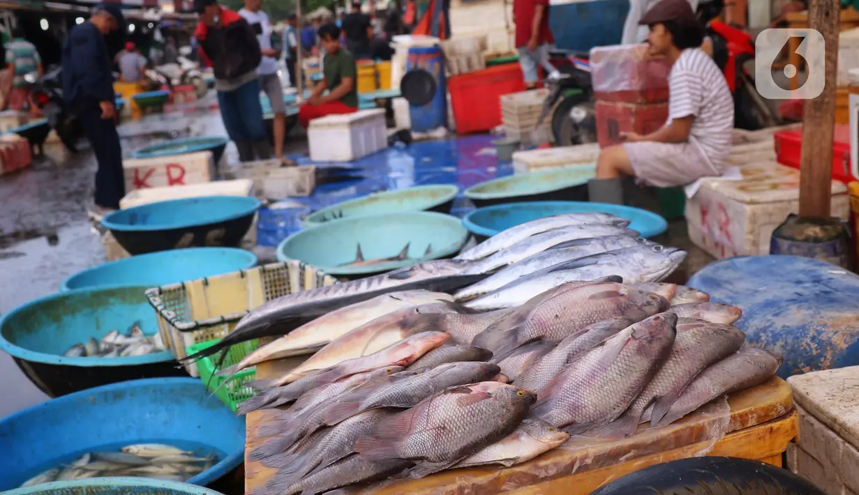 Suasana pasar ikan di Kamal Muara, Jakarta, Jumat (15/4/2022). Menteri Kelautan dan Perikanan Sakti Wahyu Trenggono memastikan pasokan ikan untuk kebutuhan selama Ramadhan 1443 Hijriah dan Hari Raya Idul Fitri aman. (Liputan6.com/Angga Yuniar)