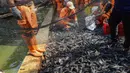 Operasi penangkapan ikan sapu-sapu di Setu Babakan berlangsung selama tiga jam. Terhitung mulai pukul 08.00 hingga 11.00 WIB. Tampak dalam foto, Petugas Penanganan Prasarana dan Sarana Umum (PPSU) memindahkan ikan sapu-sapu dari jaring di kawasan Setu Babakan, Jakarta Selatan, Jumat (17/4/2026). (merdeka.com/Arie Basuki)