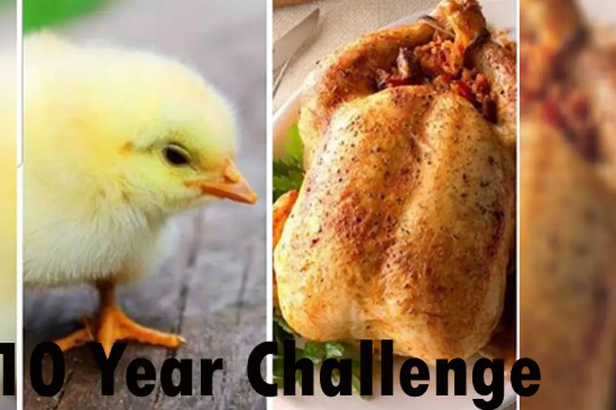 Deretan Potret Konyol 10 Year Challenge Buatan Warganet, Dijamin Ngakak
