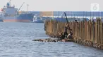 Sejumlah pekerja tampak memasang turap bambu yang menjadi penangkal abrasi di pesisir pantai kawasan Pelabuhan Marunda Center Terminal (MCT) Jurong Port JV, Tarumajaya, Bekasi, Jawa Barat (23/6/2023). (merdeka.com/Imam Buhori)