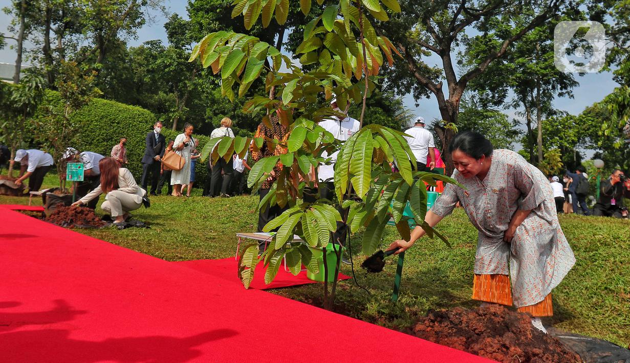 Ketua DPR Puan Maharani melakukan penanaman pohon bersama para delegasi yang hadir pada acara P20 di Taman Energi, Kompleks Parlemen MPR/DPR-DPD, Senayan, Jakarta, Jumat (7/10/2022). Penanaman pohon ini merupakan rangkaian The 8th G20 Parliamentary Speakers’ Summit (P20) yang hari ini merupakan penutupan. (Liputan6.com/Angga Yuniar)