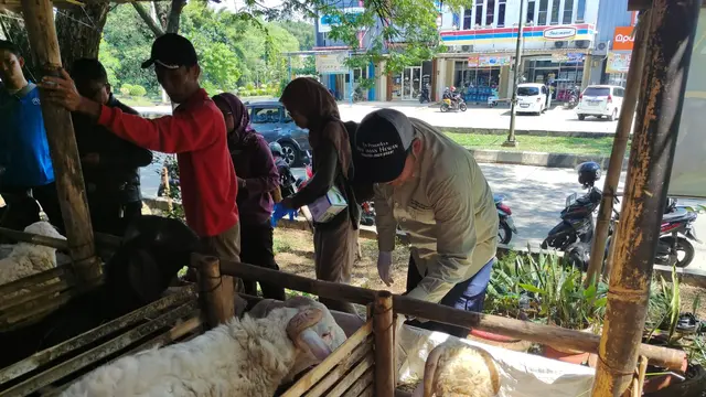 DKP3 Kota Depok Temukan 1.454 Hewan Tidak Layak Kurban