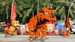 Penari Barongsai beraksi menghibur pengunjung Pantai Lagoon, Ancol, Jakarta, Sabtu (2/2). Untuk menyambut perayaan Imlek 2570, pengelola menampilkan Ancol Imlek Festival 2570. (Liputan6.com/Helmi Fithriansyah)