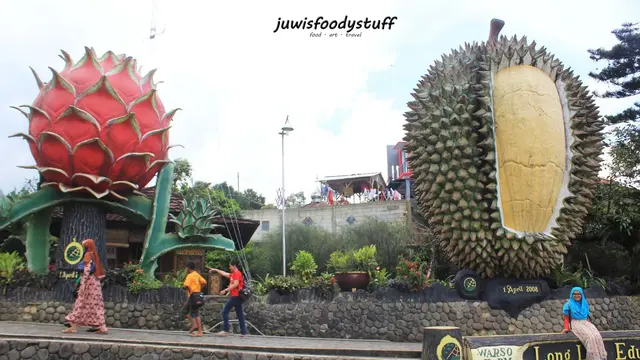 Warso Farm