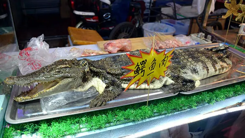 Kedai di Tiongkok Ini Jual Sate Daging Buaya, Berani Coba?