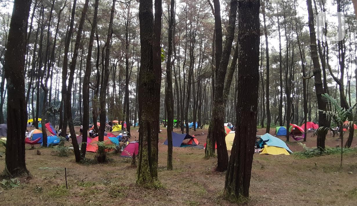 Pengunjung saat berada di lokasi perkemahan Curug Hiji, Bogor, Minggu (5/9/2021). Meski Kabupaten Bogor masih dalam masa PPKM level 3, sejumlah lokasi wisata luar ruangan mulai ramai dikunjungi pengunjung. (Liputan6.com/Helmi Fithriansyah)