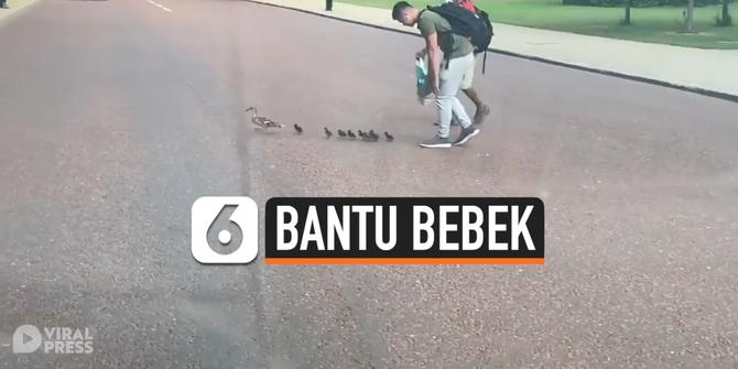 VIDEO: Bantu Bebek dan Anaknya Menyeberang Jalan, Pria ini Tuai Pujian