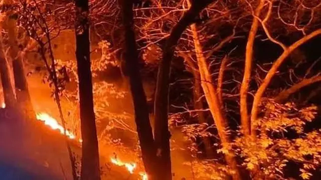 Kebakaran di Kawah Ijen Banyuwangi