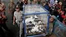 Petugas Satpol PP membawa anjing yang disita ketika razia perdagangan anjing di Jalan Latuharhary, Jakarta Pusat, Kamis (9/4/2015). Dalam oprasinya petugas menyita puluhan anjing yang tidak memiliki kelengkapan surat. (Liputan6.com/Johan Tallo)