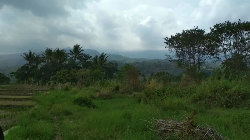 Menyapa Pagi Dari Situs Leuweung Leutik Sunda Wiwitan Cigugur