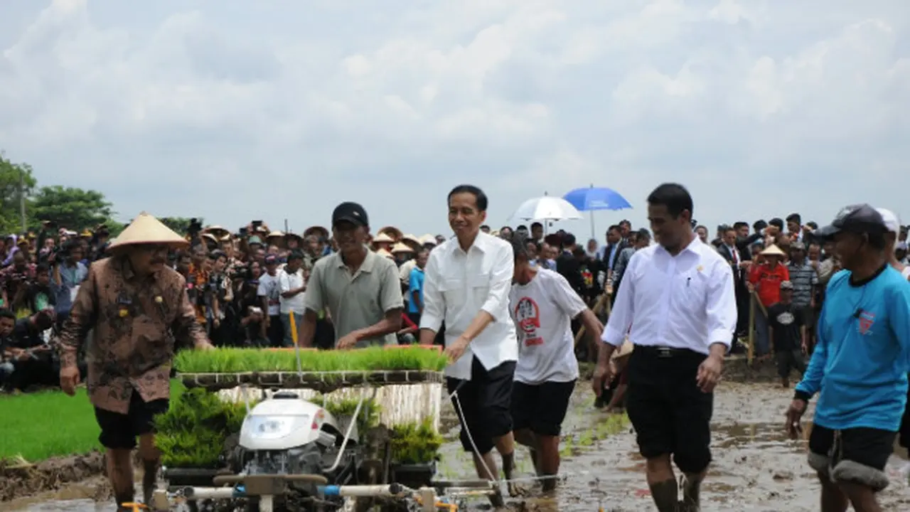 Jokowi dan petani