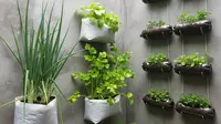 7 Model Kebun Sayuran Mini Kos-Kosan, Solusi Hijau di Ruang Sempit