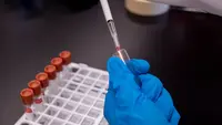 Indonesia Bangun Ekosistem Plasma Pertama, Apa Dampaknya bagi Kesehatan?