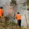 Hutan Lereng Gunung Lawu Kebakaran, Medan Sulit Jadi Kendala Pemadaman