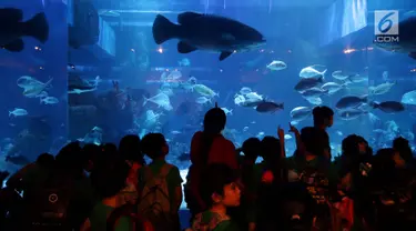 Anak - anak sekolah melihat ikan di dalam aquarium saat peresmian Jakarta Aquarium di Neo Soho, Jakarta, Selasa (16/10). Taman Safari Indonesia bekerjasama dengan Aquaria resmi membuka Jakarta Aquarium. (Liputan6.com/Johan Tallo)