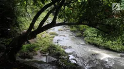 Air terjun Temam yang berada di Kota Lubuklinggau, Sumatera Selatan, Rabu (10/1). Keunikan batu-batuan alam serta pepohonan yang hijau alami menjadikan air Tterjun berjulukan Niagara mini ini sangat memesona. (Liputan6.com/Immanuel Antonius)