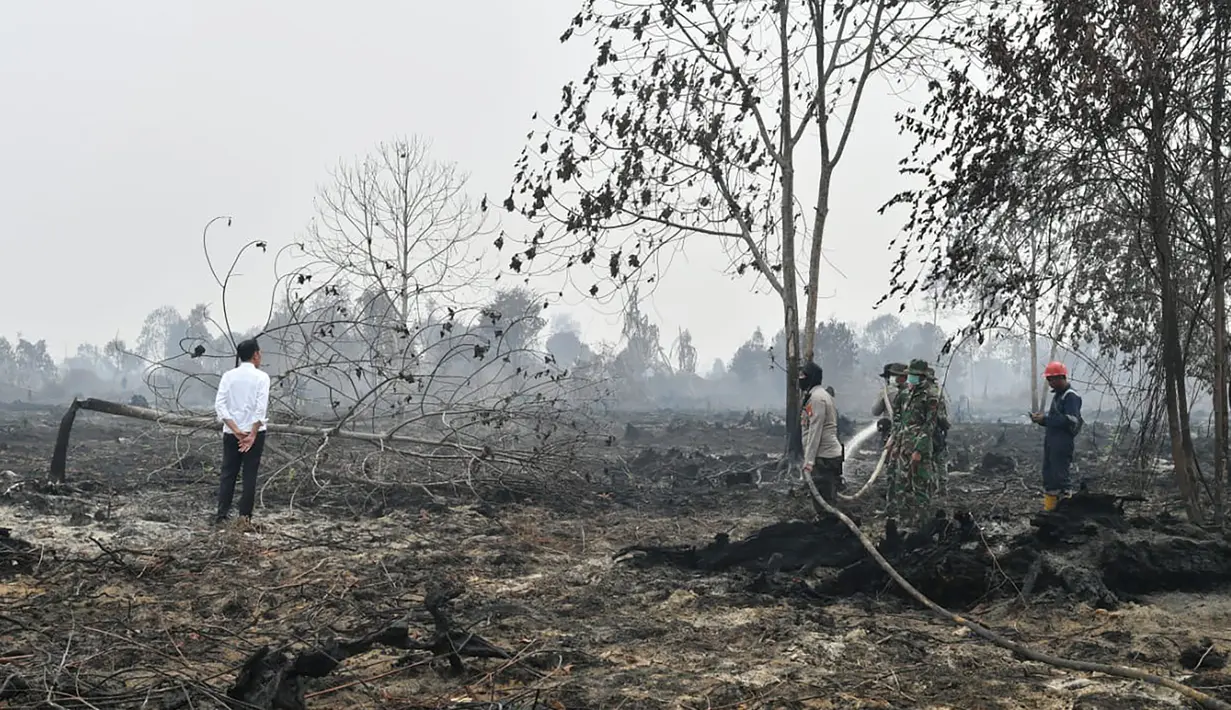 Presiden Joko Widodo atau Jokowi (kiri) melihat pemadam kebakaran bekerja saat memeriksa kerusakan akibat kebakaran hutan dan lahan (karhutla) di Pekanbaru, Riau, Selasa (17/9/2019). Jokowi ditemani sejumlah pejabat saat meninjau lokasi kebakaran. (Handout/Indonesian Presidential Palace/AFP)