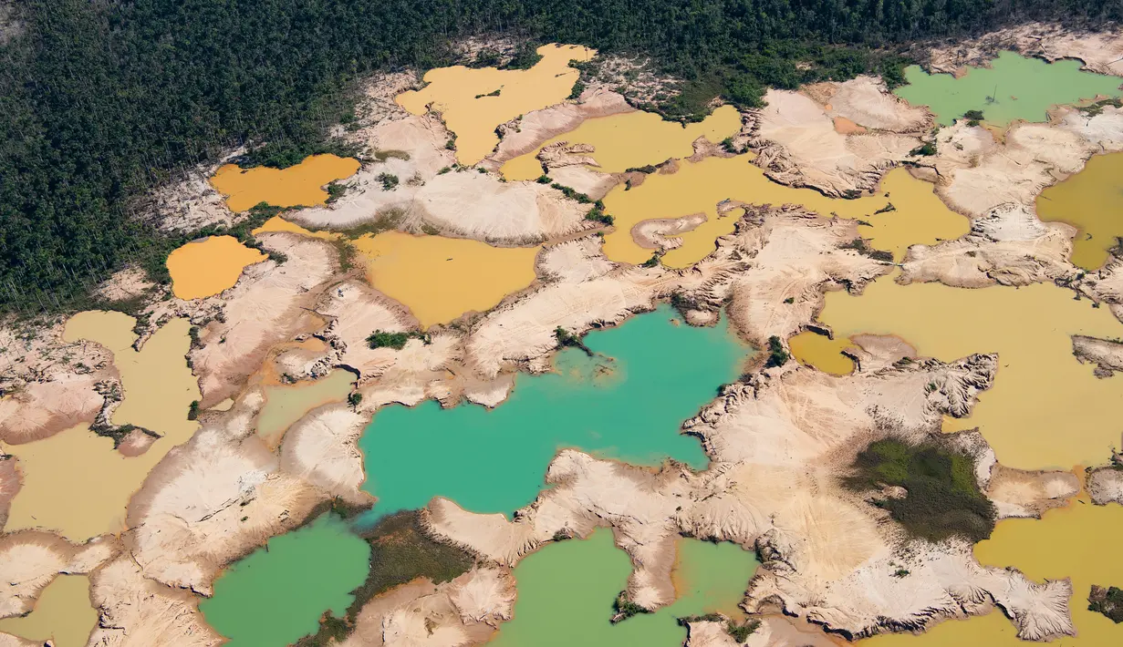 Pandangan udara kawasan Hutan Amazon yang terdeforestasi (penurunan luas area hutan secara kualitas dan kuantitas) di wilayah Sungai Madre de Dios, Peru, Jumat (17/5/2019). Hutan Amazon mengalami deforestasi akibat kegiatan penambangan ilegal. (CRIS BOURONCLE/AFP)