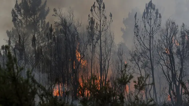 Pemandangan kebakaran hutan yang mencapai desa Figueiro dos Vinhos Portugal tengah, Minggu, 18 Juni 2017. (AP/Paulo Duarte)