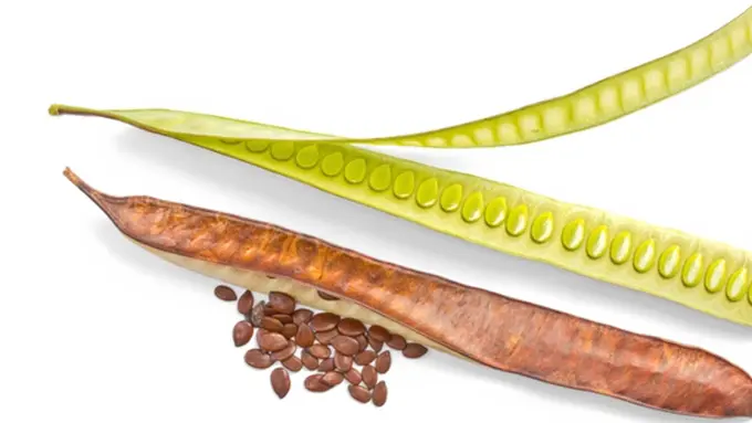 Foto: copyright by Thinkstock.com