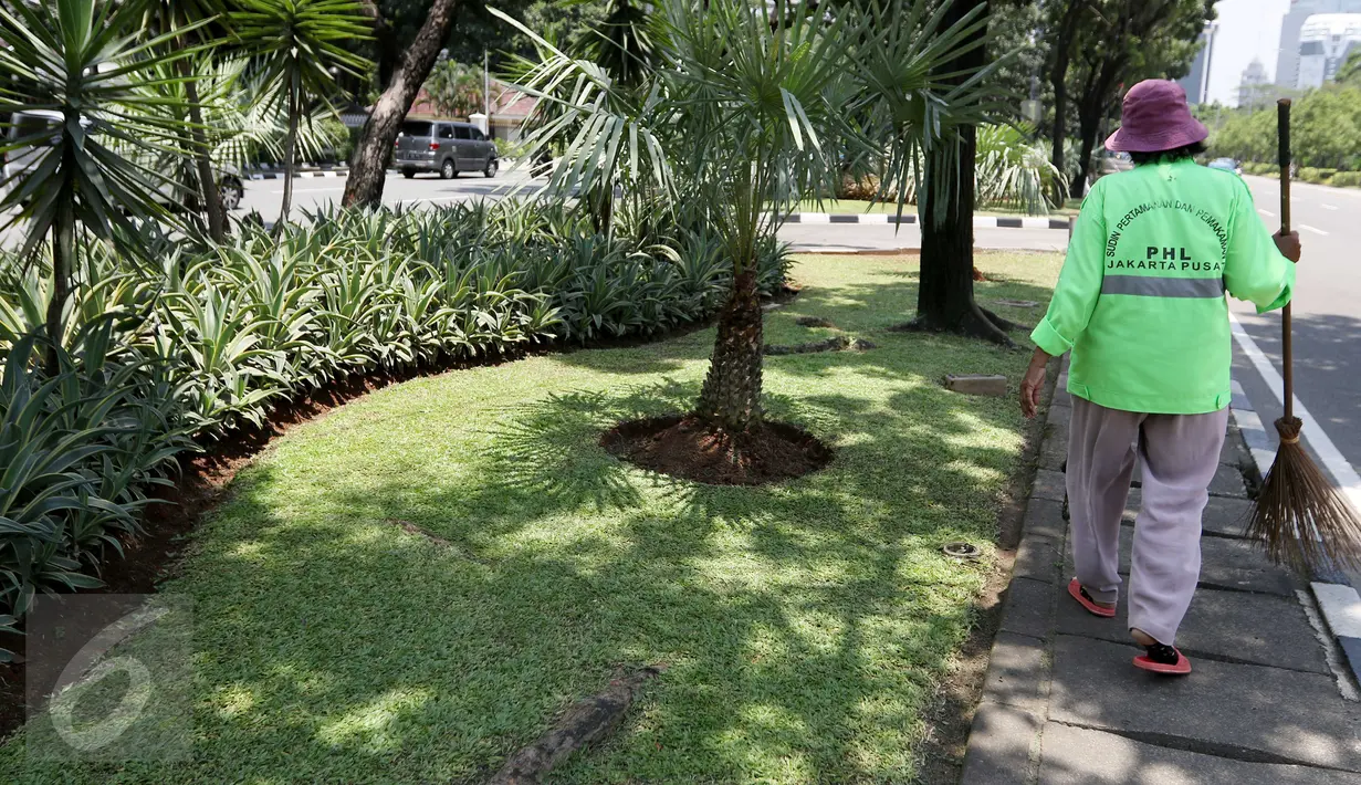 Ibu Tuti saat menyapu taman di depan kantor Balai Kota, Jakarta, (24/3). Petugas harian lepas ini sempat memarahi pendemo yang menginjak-injak rumput saat aksi demo supir taksi di Jalan Merdeka Selatan beberapa waktu lalu. (Liputan6.com/Yoppy Renato)