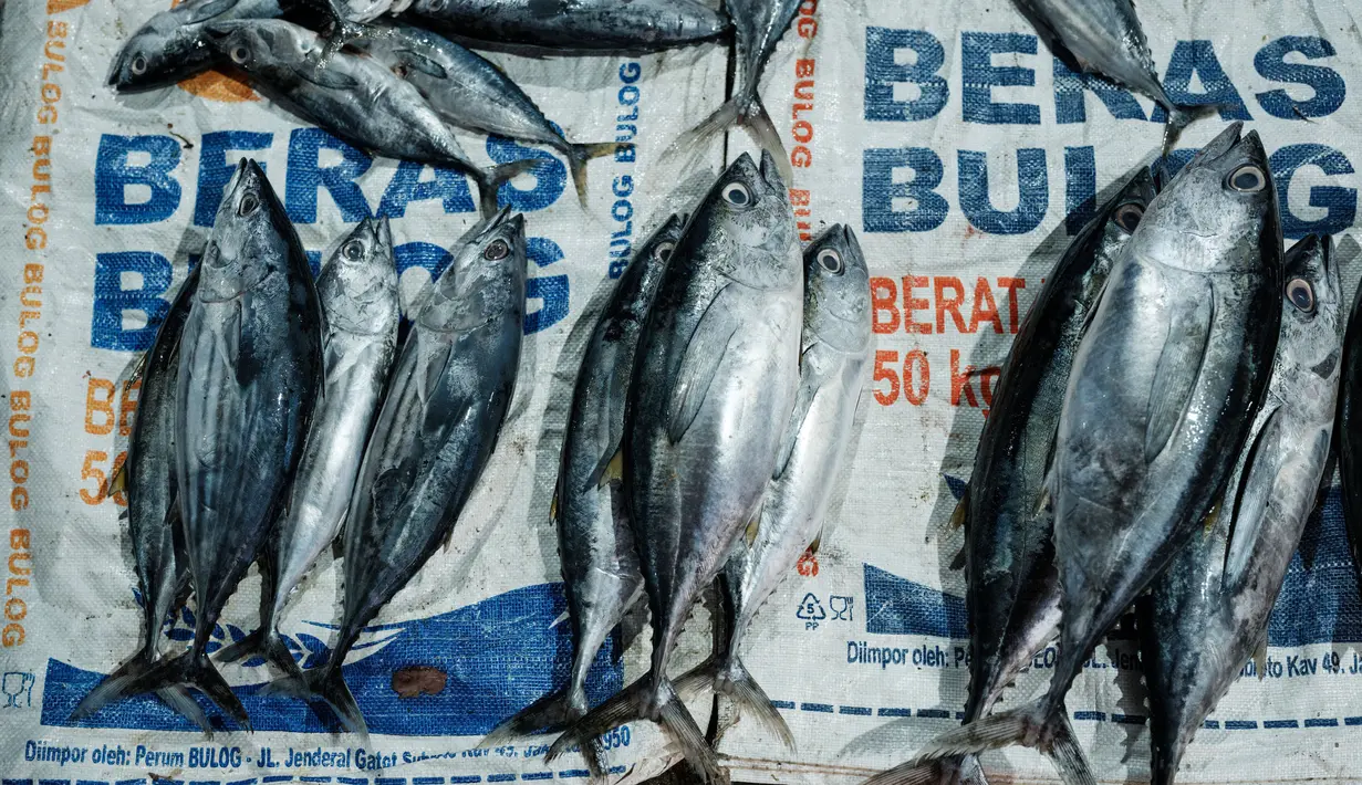 Kelangkaan yang berimbas pada kenaikan harga ikan di Banda Aceh juga dipengaruhi tidak melautnya nelayan untuk memperingati 20 tahun bencana tsunami. (Yasuyoshi CHIBA/AFP)