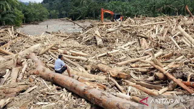 Kayu gelondongan besar terbawa arus banjir di Sumatera