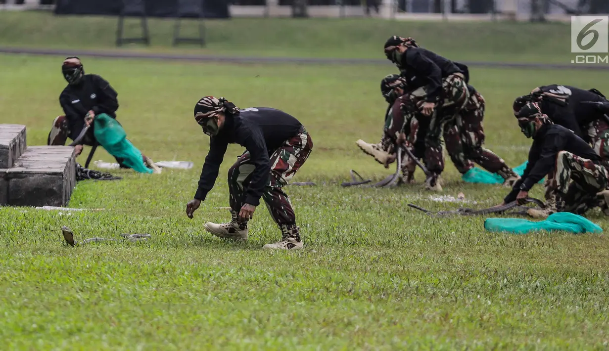 Sejumlah prajurit Komando Pasukan Khusus (Kopassus) memperagakan cara menjinakan ular kobra pada Upacara Penyerahan Satuan di Lapangan Mako Kopassus, Jakarta, Jumat (23/3). Kopassus resmi dipimpin Mayjen TNI Eko Margyono. (Liputan6.com/Faizal Fanani)