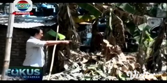 VIDEO: Bekas Sumur Minyak Tua Peninggalan Belanda Keluarkan Semburan Lumpur