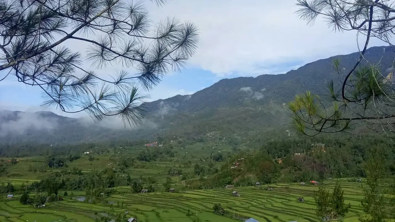 Desa Tondok Bakaru Mamasa
