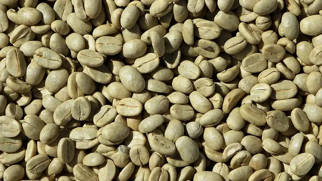 Cara Membuat Kopi Hijau