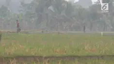 Kabur saat disergap tim Resmob Polresta Tangerang, seorang pelaku pencurian sepeda motor terlibat kejar-kejaran dengan polisi hingga ke tengah sawah.