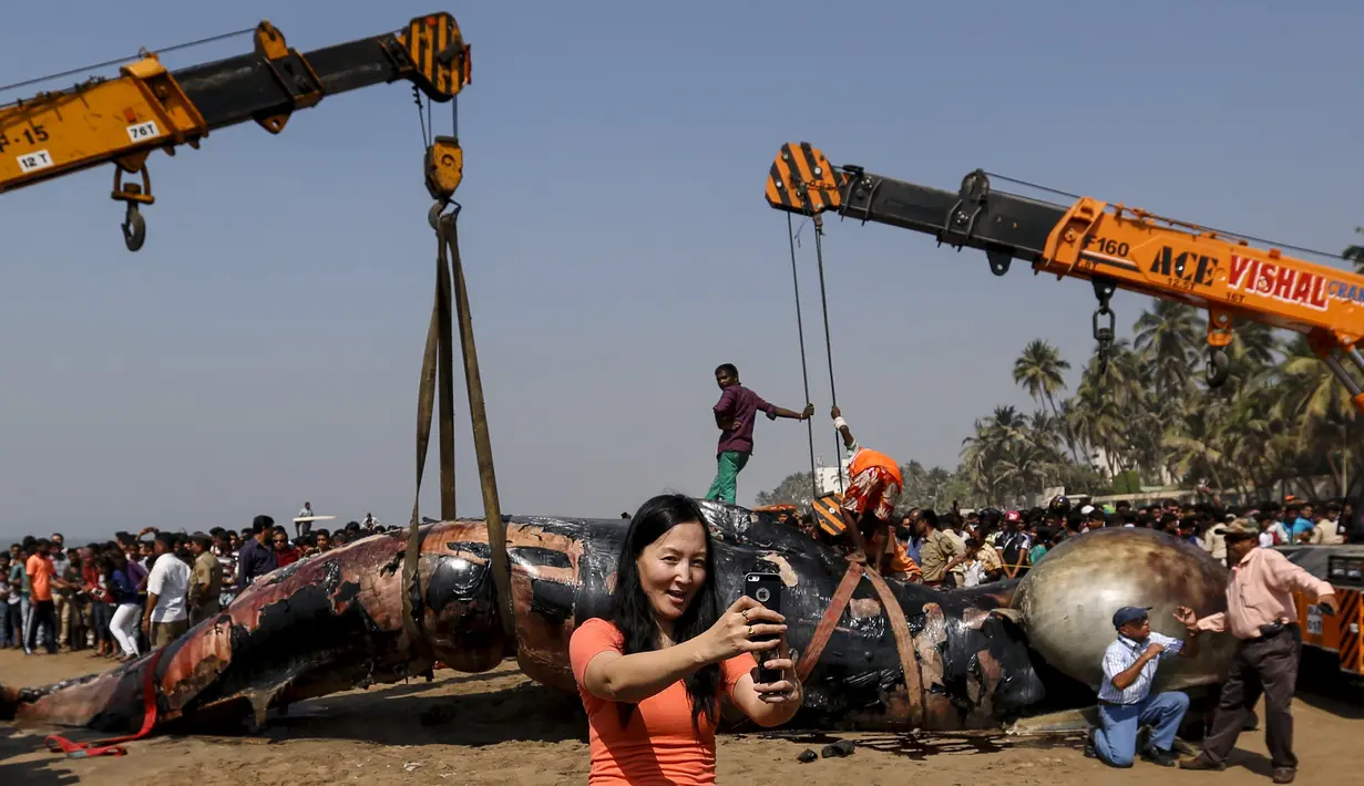 Seorang wanita berselfie saat proses evakuasi ikan paus paus yang terdampar di pantai sepanjang Laut Arab di Mumbai , India, (29/1). Diperkirakan ukuran ikan paus tersebut 9 meter .(REUTERS / Danish Siddiqui)