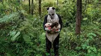Para ilmuwan yang berusaha menyelamatkan panda, berpakaian seperti panda saat melepas mereka ke alam liar. Tujuannya?
