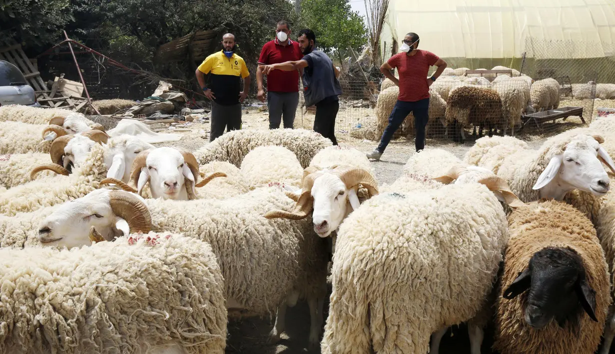 Sejumlah orang terlihat di sebuah kios penjualan domba kurban menjelang Hari Raya Idul Adha di Aljir, Aljazair, Minggu (12/7/2020). (Xinhua)