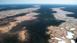 Pandangan udara kawasan Hutan Amazon yang terdeforestasi (penurunan luas area hutan secara kualitas dan kuantitas) di wilayah Sungai Madre de Dios, Peru, Jumat (17/5/2019). Penambangan ilegal merusak ekologis yang tak dapat dipulihkan pada lebih dari 11.000 hektare Hutan Amazon. (CRIS BOURONCLE/AFP)