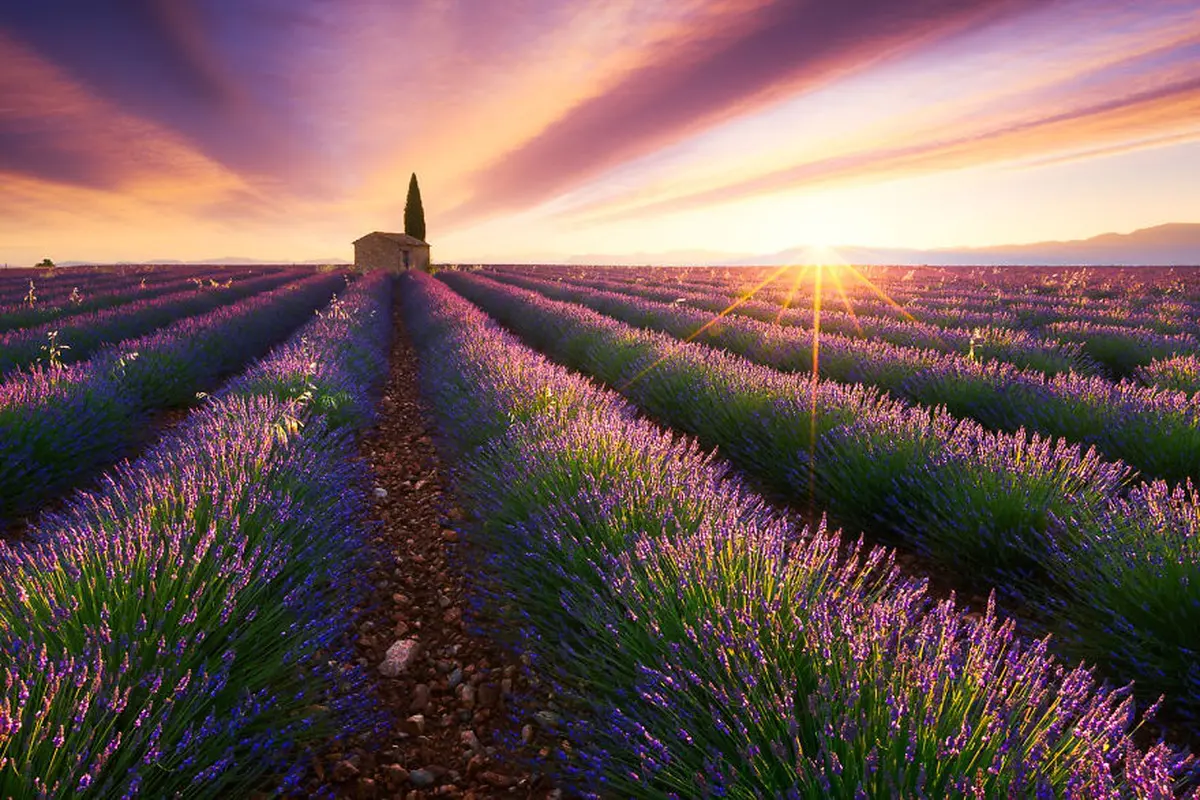 Provence, Perancis