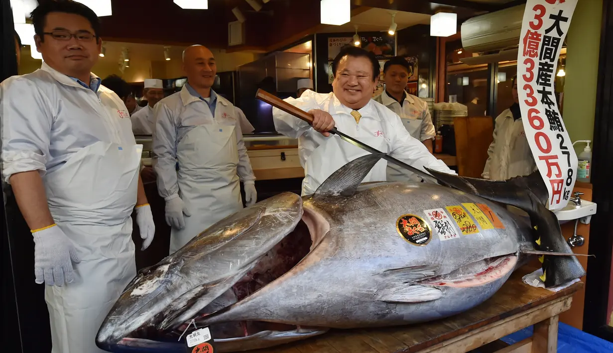 Pengusaha restoran sushi Jepang, Kiyoshi Kimura memamerkan ikan tuna sirip biru seberat 278 kg di restorannya, Tokyo, Sabtu (5/1). Tuna raksasa itu dibeli dalam lelang perdana 2019 dengan harga USD3,1 juta atau setara 43,4 miliar. (Kazuhiro NOGI/AFP)