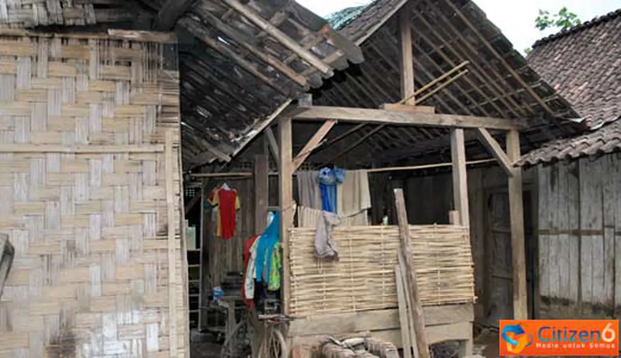 Ciitizen, Jember: Korban Abrasi Sungai Mandilis terpaksa harus tinggal di kandang ternak. (Pengirim: Sapto Raharjanto)