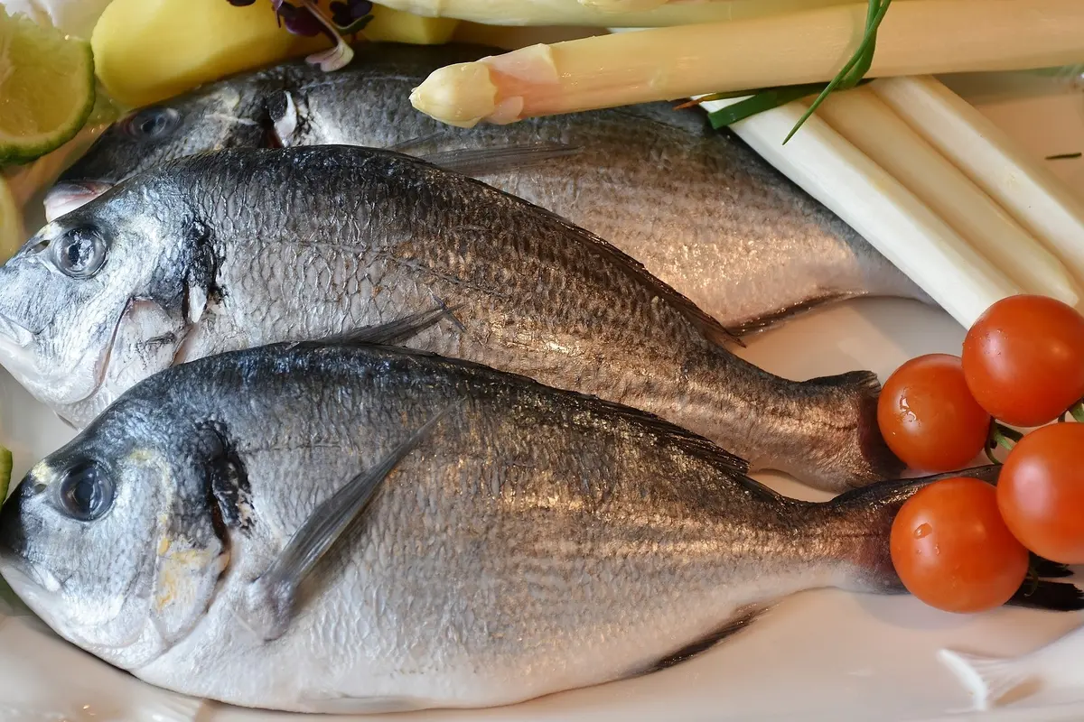 Ikan