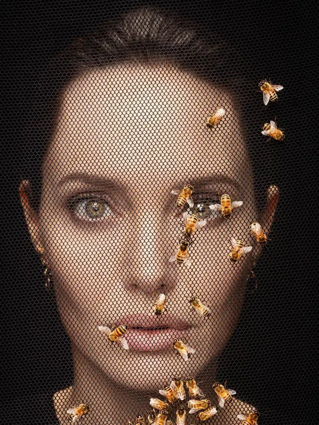 [Liputan6] Angelina Jolie