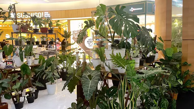 Urban Garden Summarecon Mall Serpong. (dok: Summarecon Mall Serpong)