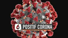 Dua orang di Indonesia dikabarkan positif terpapar virus corona. Informasi disampaikan Presiden Joko Widodo  hari Senin (2/3) di Jakarta.