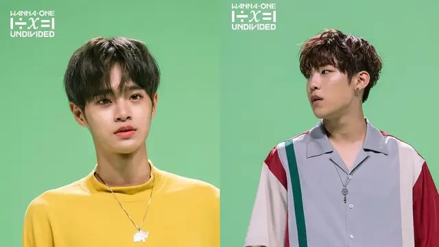 Woo Jin - Dae Hwi Wanna One (Naver/ Wanna One)