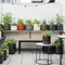 7 Inspirasi Teras Minimalis dengan Galon Bekas yang Disulap Jadi Urban Garden