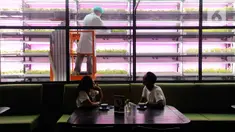 Pengunjung berbincang saat petani melakukan perawatan tanaman dalam ruang penyemaian pada sebuah kafe resto di kawasan Alam Sutera, Tangerang Selatan, Banten, Kamis ( 26/1/2023). Pertanian dengan Controlled Eenvironment Agriculture (CEA) yang diinisiasi petani muda Dominique Alexandra dengan bendera Semaii ini sudah berjalan satu tahun. (merdeka.com/Arie Basuki)